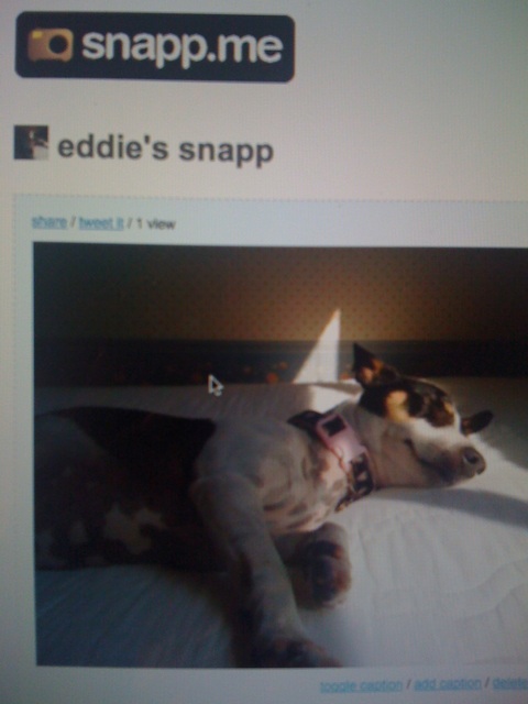 eddie's pic
