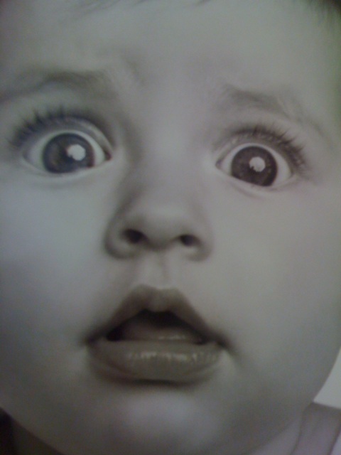eddie's pic
