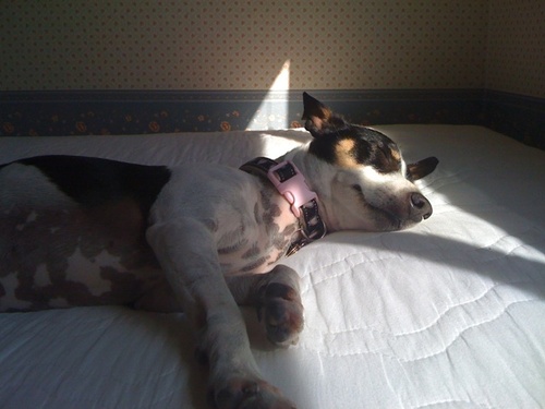 eddie's pic