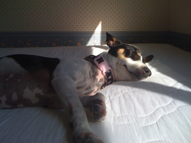 eddie's pic